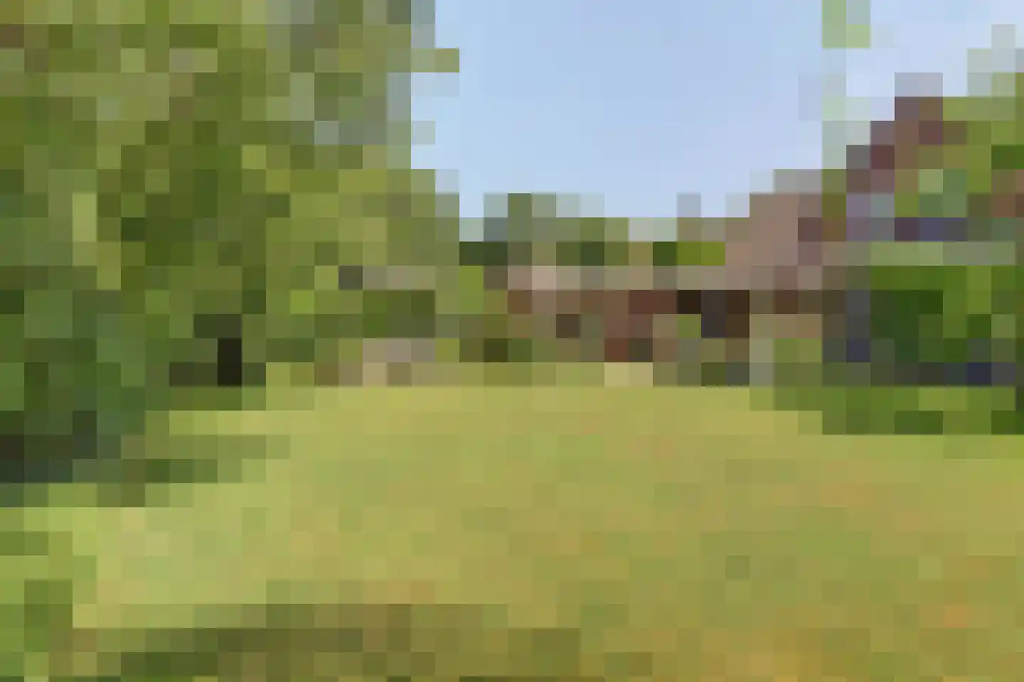 D'n Grote Aard 15 Vessem thumbnail 42