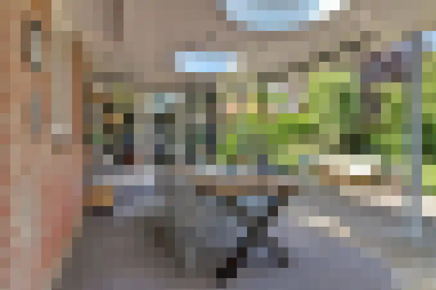 D'n Grote Aard 15 Vessem thumbnail 45