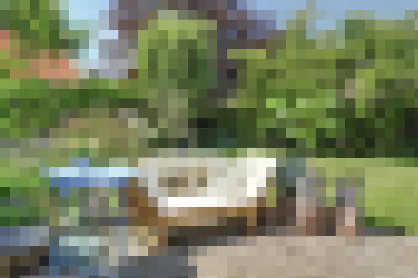 D'n Grote Aard 15 Vessem thumbnail 47
