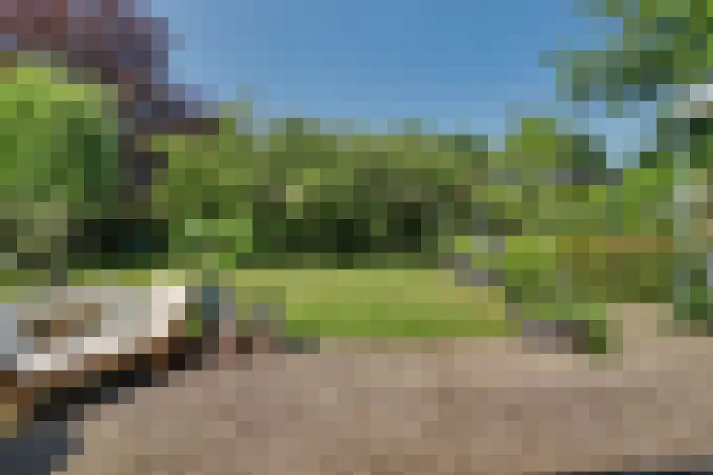 D'n Grote Aard 15 Vessem thumbnail 48