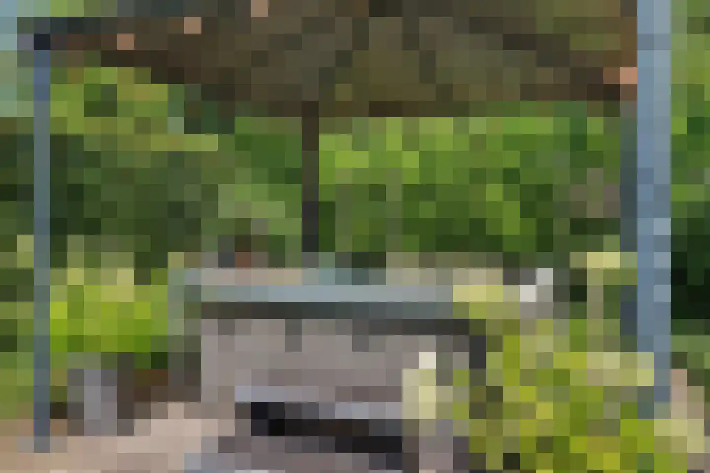 D'n Grote Aard 15 Vessem thumbnail 50