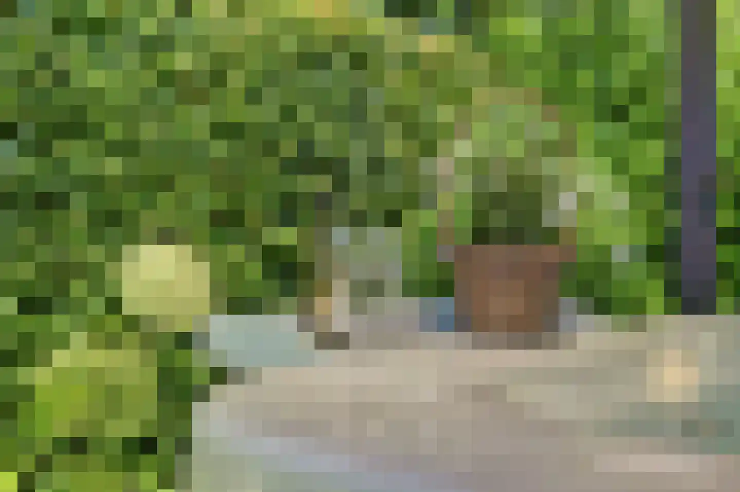 D'n Grote Aard 15 Vessem thumbnail 51