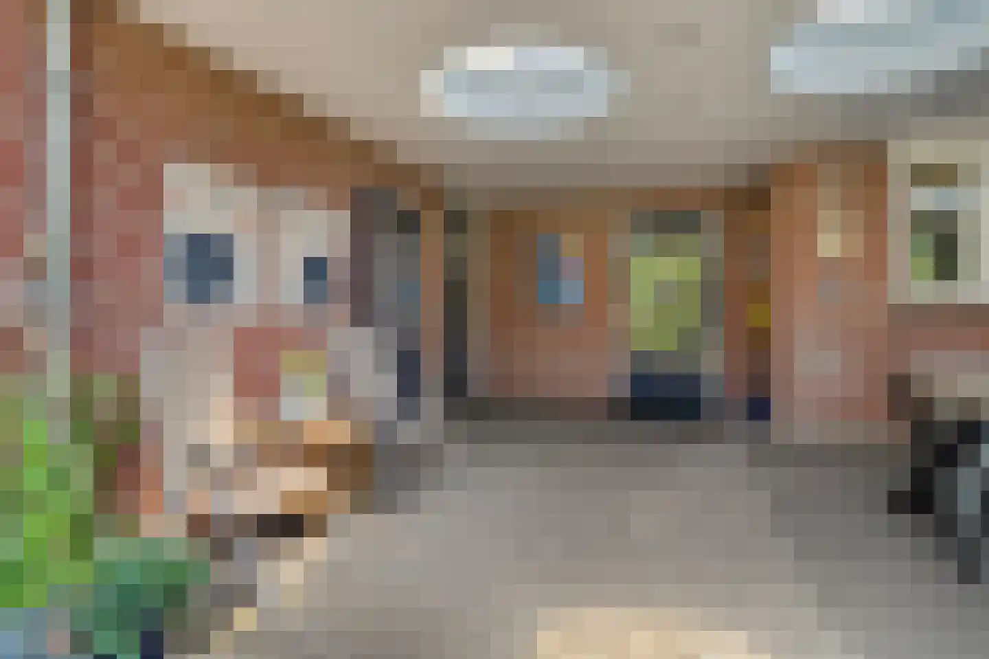 D'n Grote Aard 15 Vessem thumbnail 56