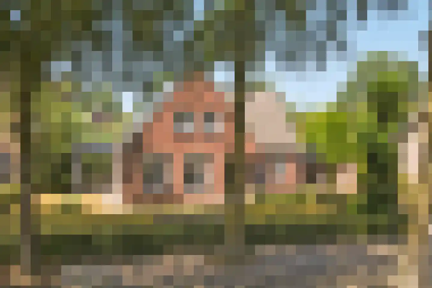 D'n Grote Aard 15 Vessem thumbnail 58