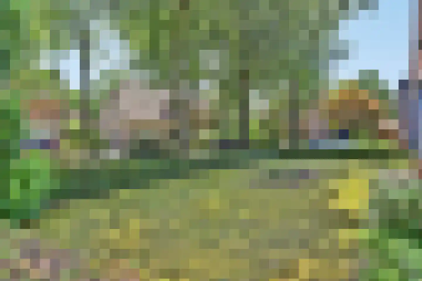 D'n Grote Aard 15 Vessem thumbnail 60