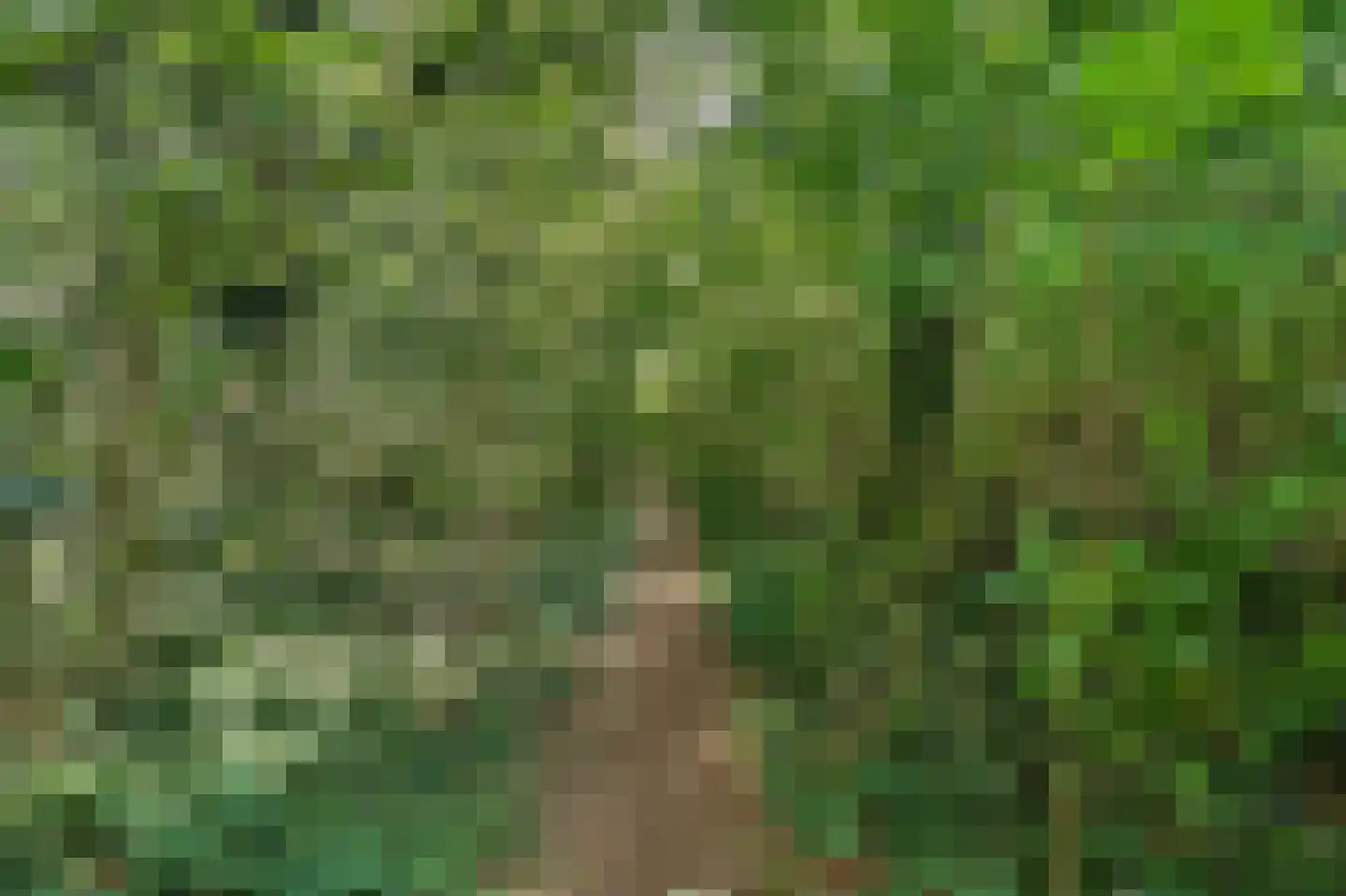 D'n Grote Aard 15 Vessem thumbnail 63