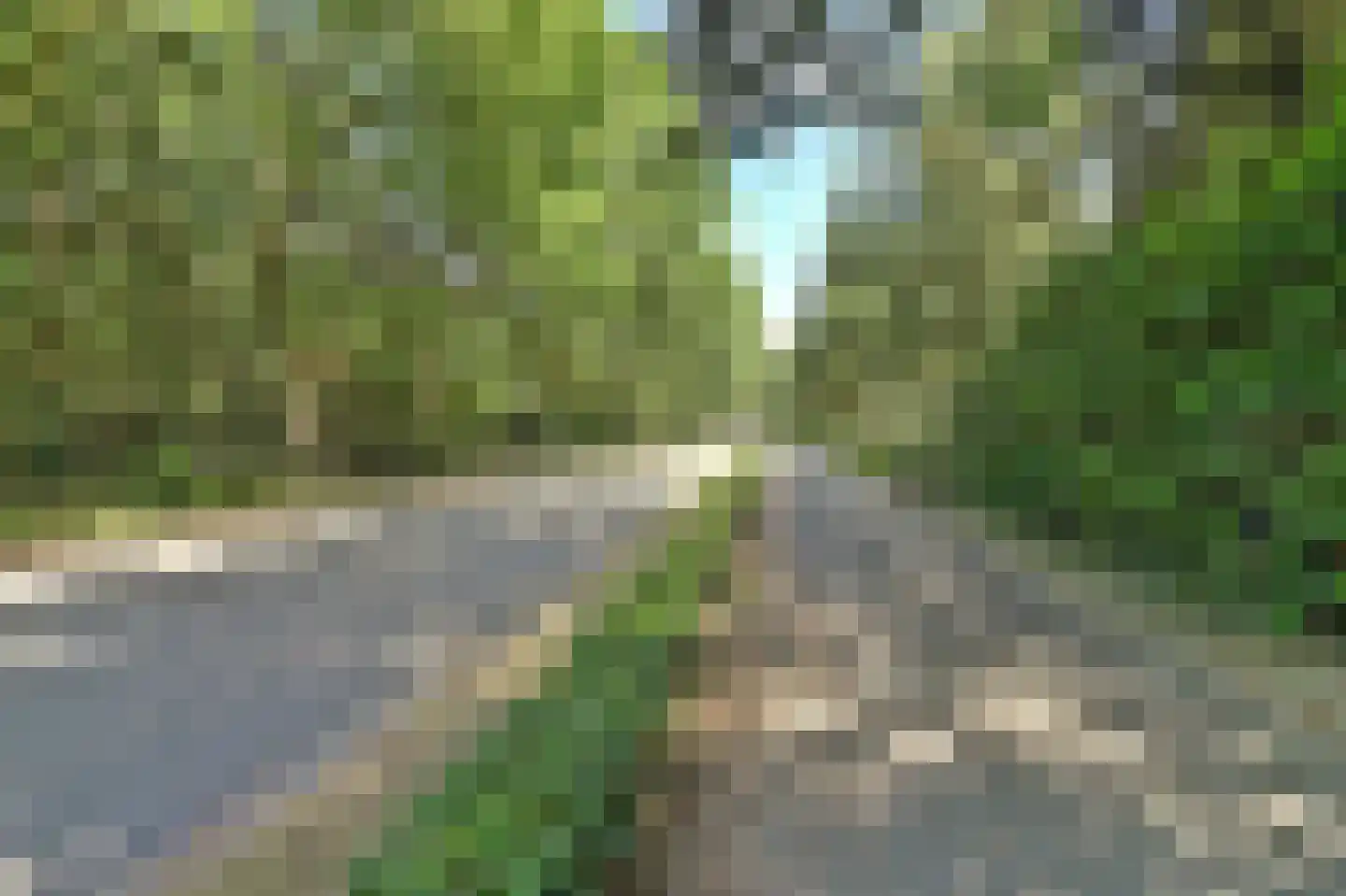 D'n Grote Aard 15 Vessem thumbnail 65