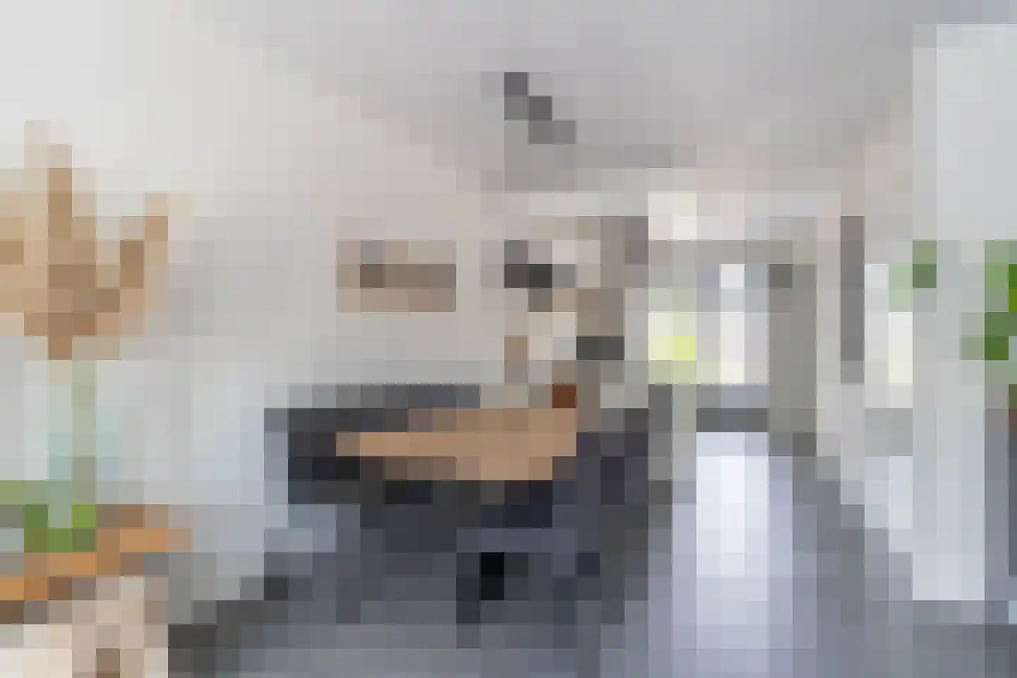 d'n Hof 23 Overloon thumbnail 12
