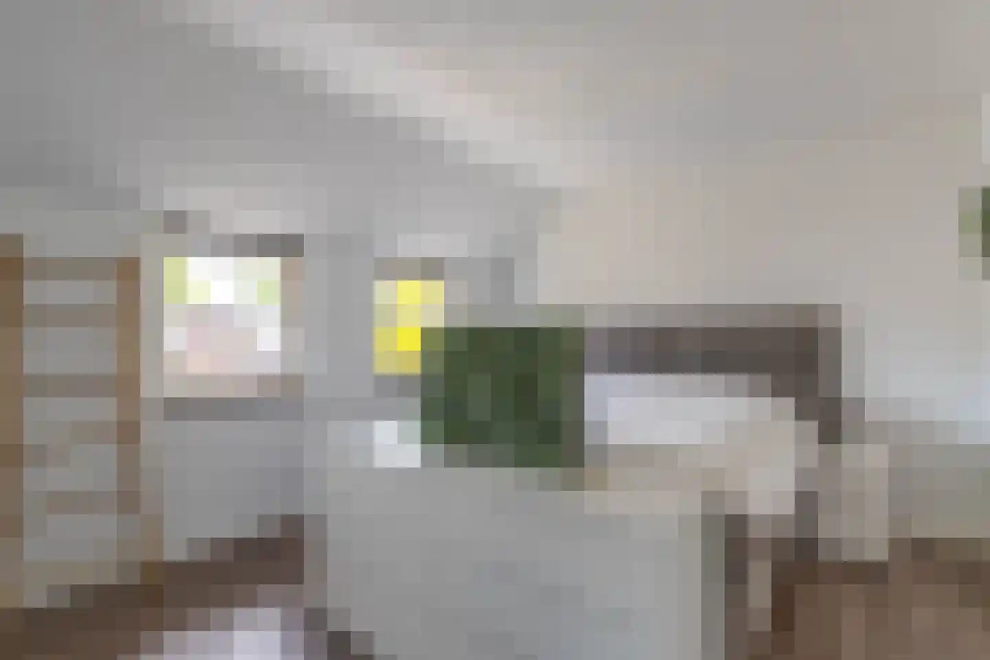 d'n Hof 23 Overloon thumbnail 19