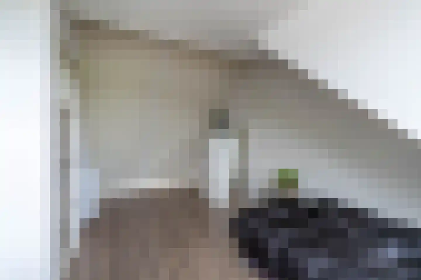 d'n Hof 23 Overloon thumbnail 35