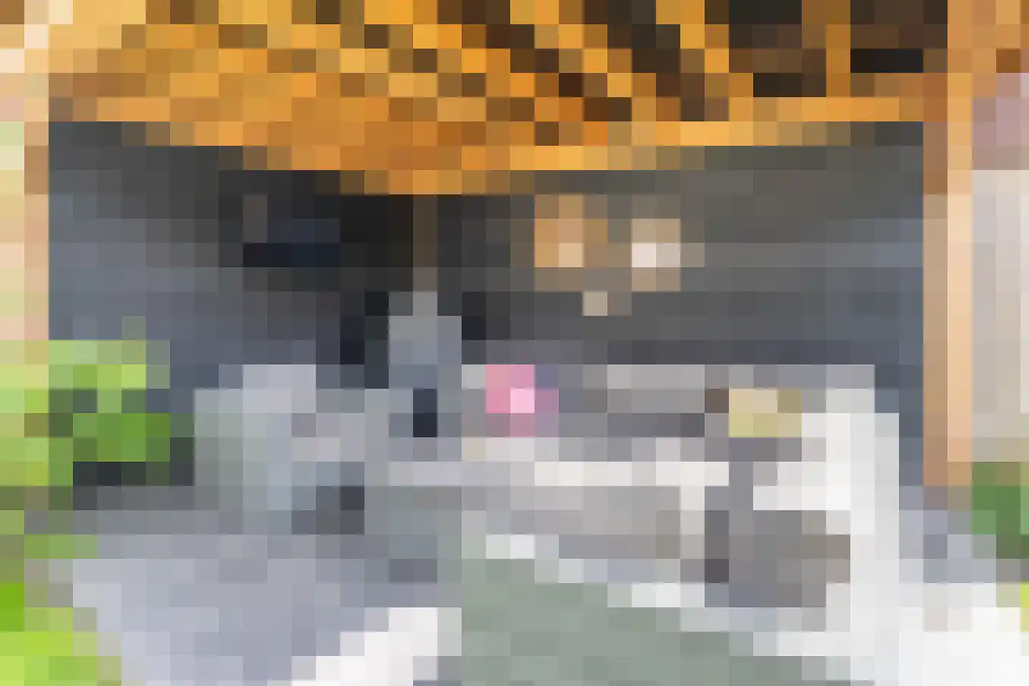 d'n Hof 33 Overloon thumbnail 15