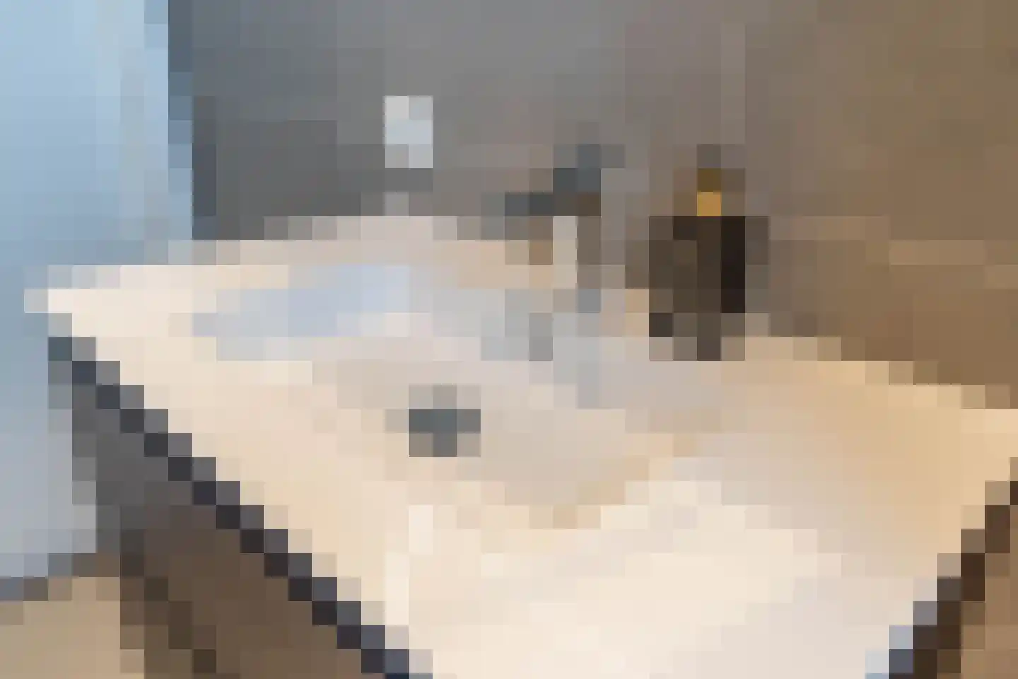 d'n Hof 33 Overloon thumbnail 35