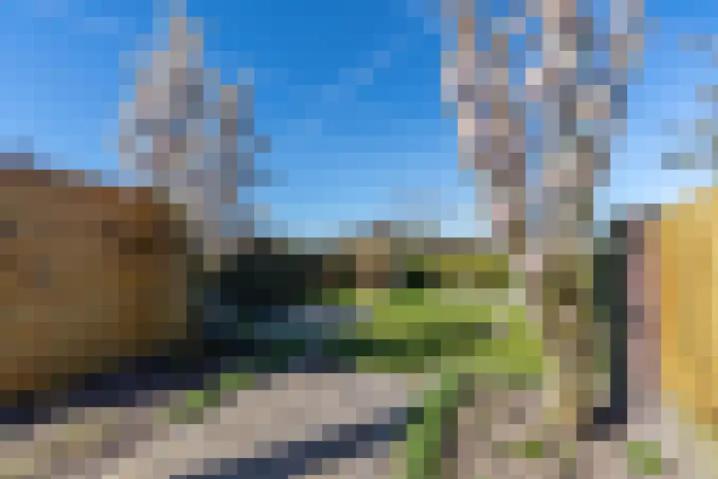 d'n Hof 40 Overloon thumbnail 16