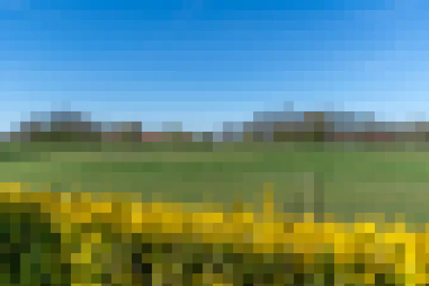 d'n Hof 40 Overloon thumbnail 24