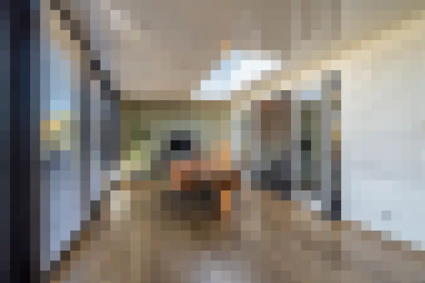 d'n Hof 40 Overloon thumbnail 27