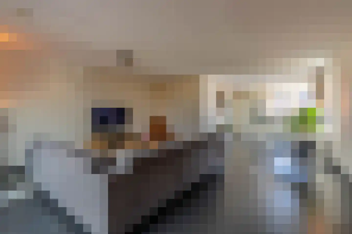 d'n Hof 40 Overloon thumbnail 34
