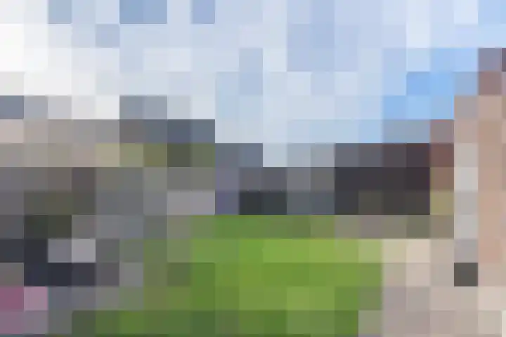 d'n Hof 45 Overloon thumbnail 10