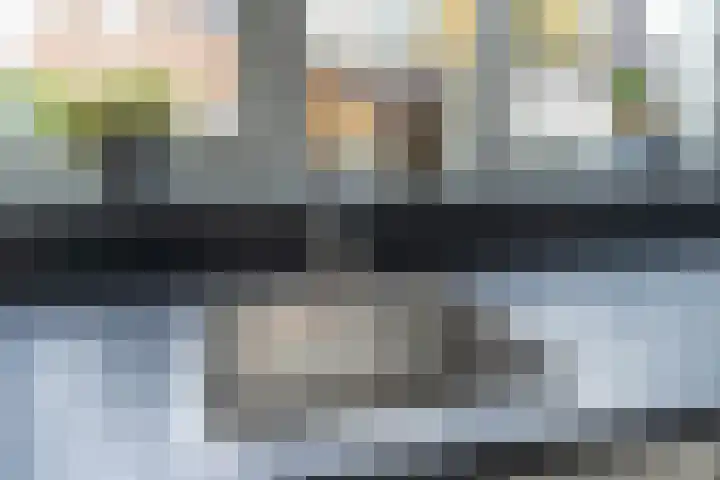 d'n Hof 45 Overloon thumbnail 18