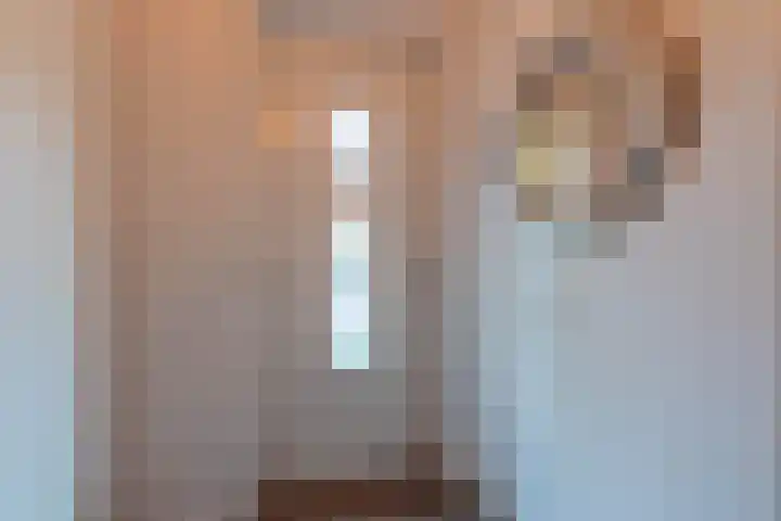d'n Hof 45 Overloon thumbnail 23