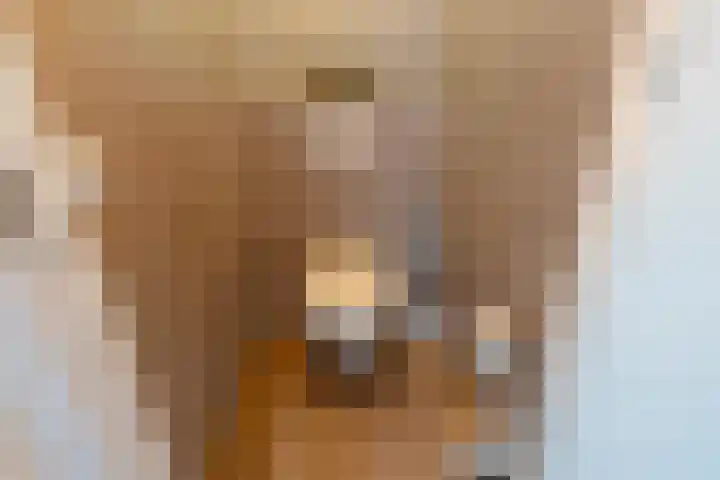 d'n Hof 45 Overloon thumbnail 24