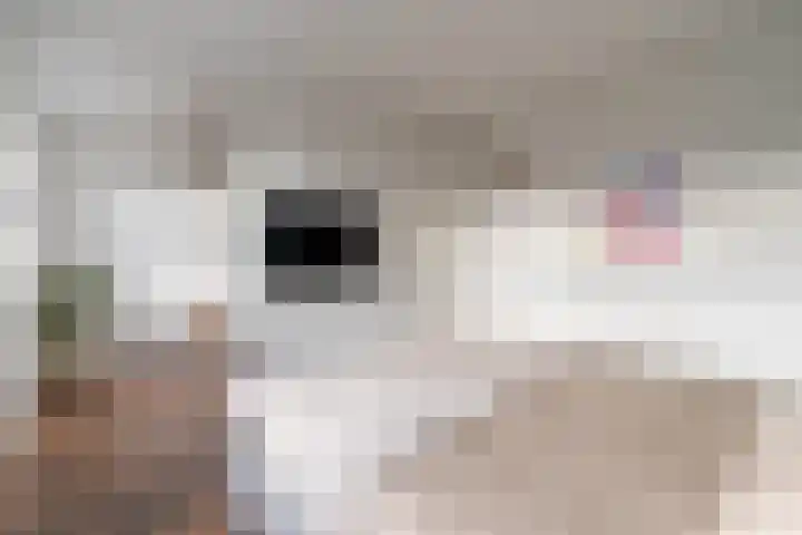 d'n Hof 45 Overloon thumbnail 28