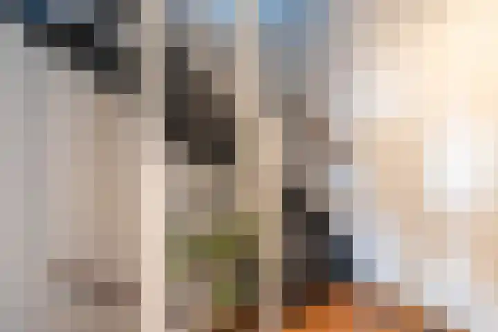 d'n Hof 45 Overloon thumbnail 32