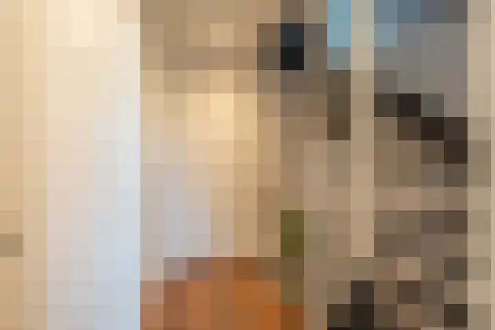 d'n Hof 45 Overloon thumbnail 33