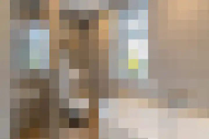 d'n Hof 45 Overloon thumbnail 34