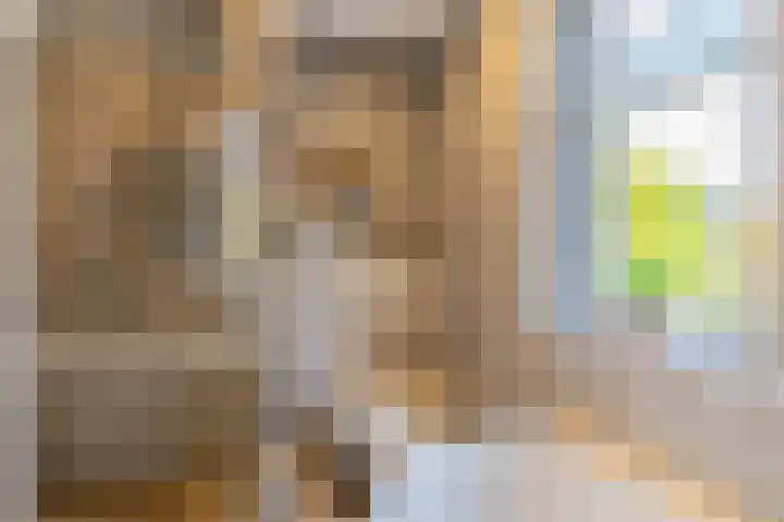 d'n Hof 45 Overloon thumbnail 35