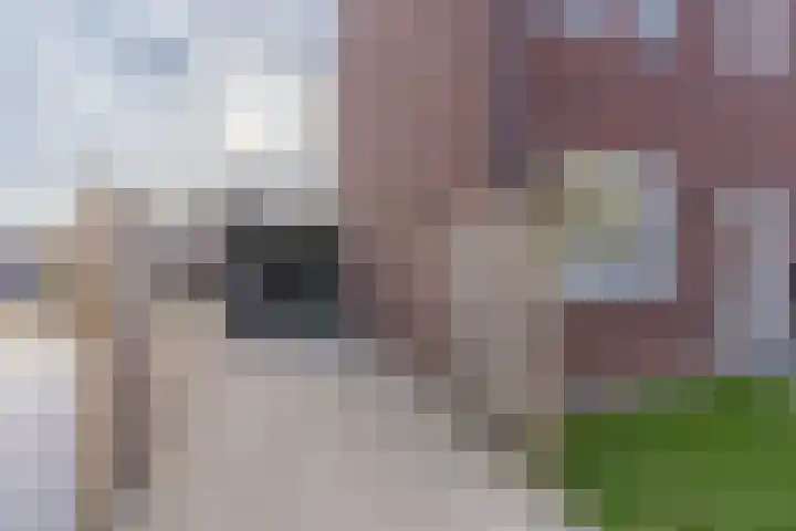 d'n Hof 45 Overloon thumbnail 4