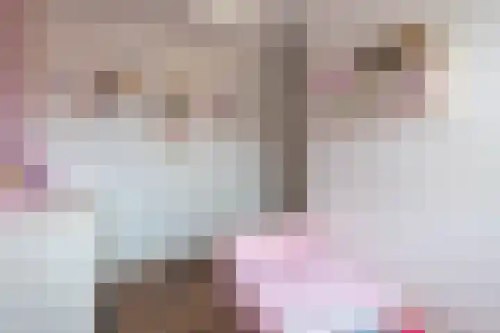 d'n Hof 45 Overloon thumbnail 43