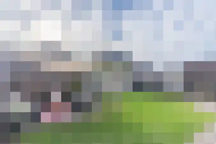 d'n Hof 45 Overloon thumbnail 8
