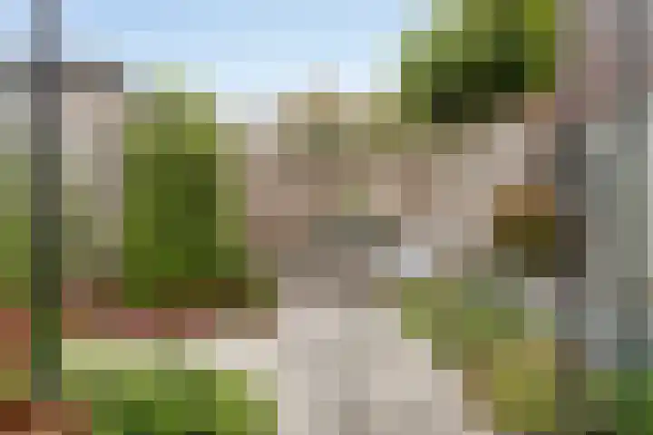 d'n Hof 60 Overloon thumbnail 31
