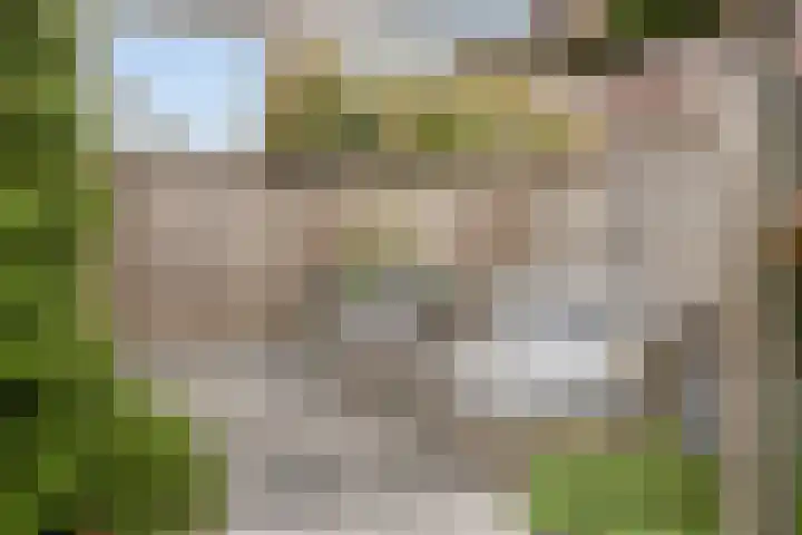d'n Hof 60 Overloon thumbnail 32