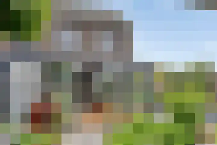 d'n Hof 60 Overloon thumbnail 34