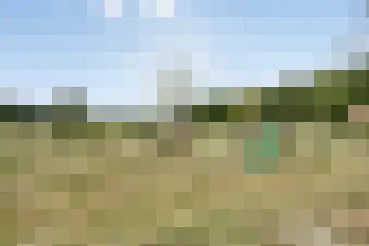 d'n Hof 60 Overloon thumbnail 38