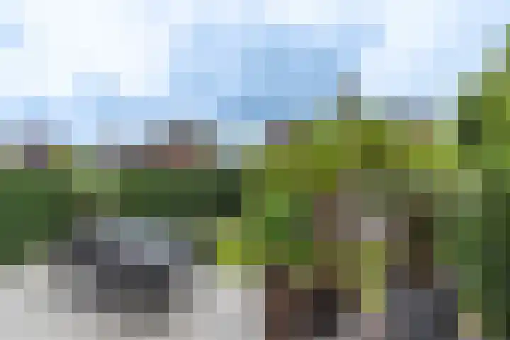 d'n Hof 74 Overloon thumbnail 12
