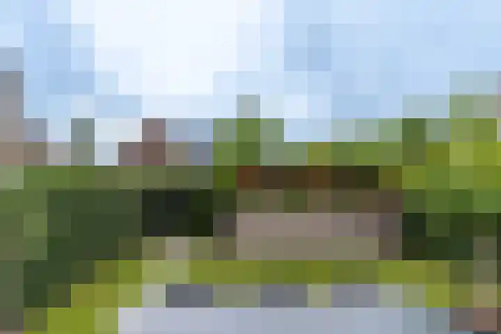 d'n Hof 74 Overloon thumbnail 14
