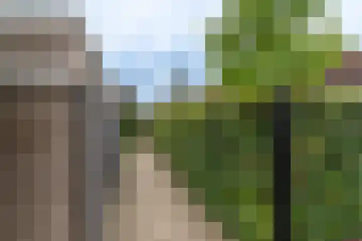 d'n Hof 74 Overloon thumbnail 7