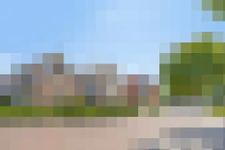 D'n Tip 14 Langenboom thumbnail 25