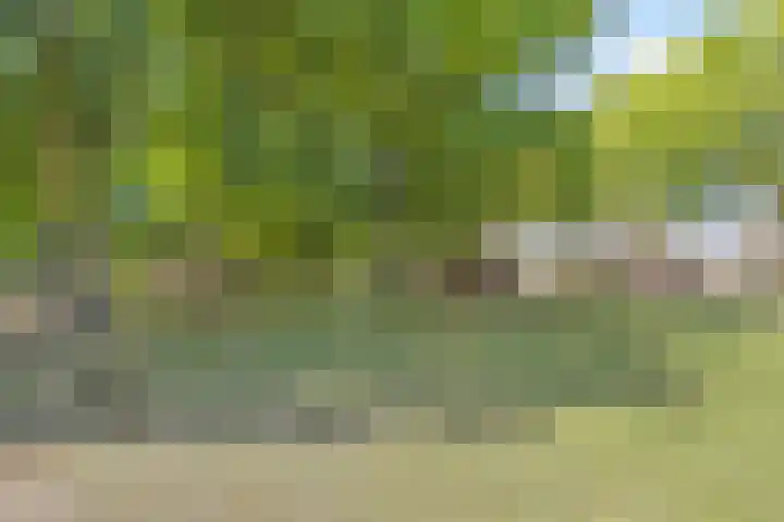 D'n Tip 14 Langenboom thumbnail 26