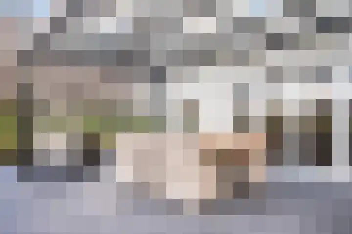 D'Oultremontweg 2 A Elshout thumbnail 23