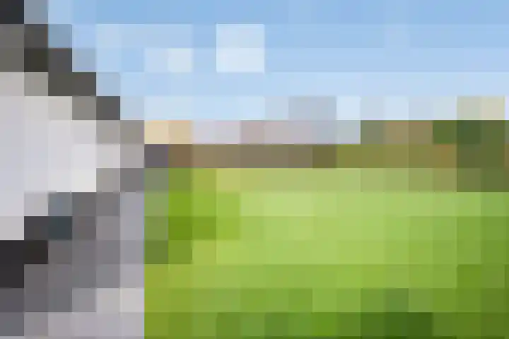 D'Oultremontweg 2 A Elshout thumbnail 24