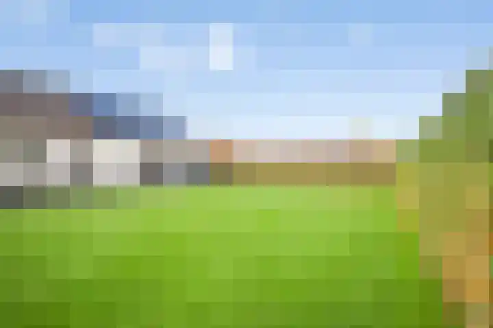 D'Oultremontweg 2 A Elshout thumbnail 25