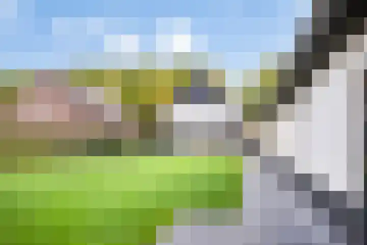 D'Oultremontweg 2 A Elshout thumbnail 26