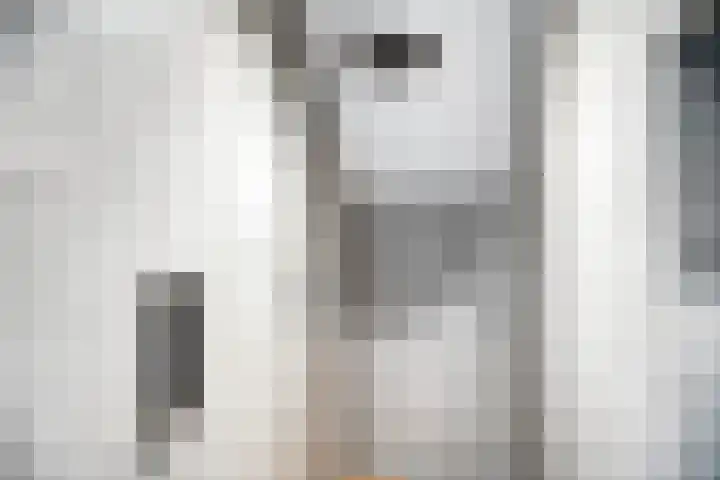 D'Oultremontweg 2 A Elshout thumbnail 35