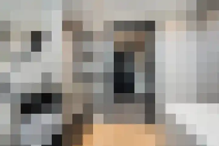 D'Oultremontweg 2 A Elshout thumbnail 36