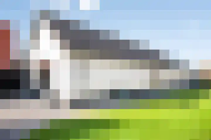 D'Oultremontweg 2 A Elshout thumbnail 41
