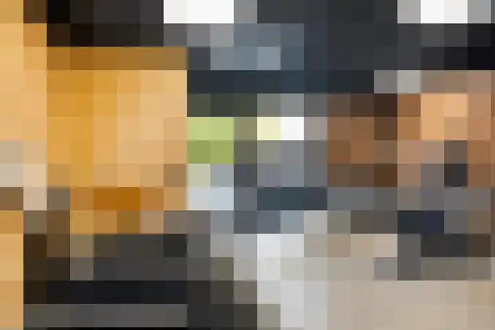 D'Oultremontweg 2 A Elshout thumbnail 44