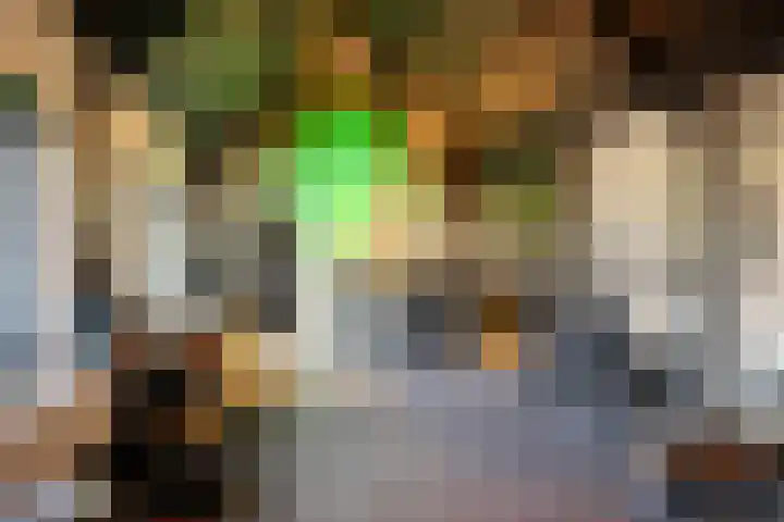 D'Oultremontweg 2 A Elshout thumbnail 46